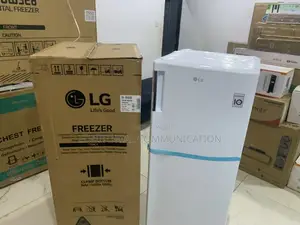 Lg 168l Standing Freezer Gn-304sqbr – Perfect Blend of Form Function