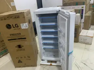 Lg Gn-304sqbr Fridge – Cooling You Can Count On