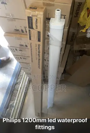 Philips Light
