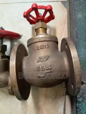 Bronze Gate Valve for Industrial Use