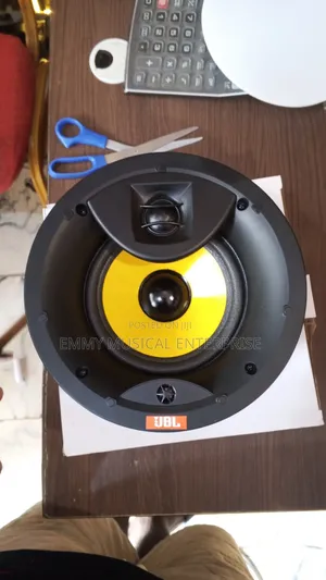 Original Frameless JBL Ceiling Speaker