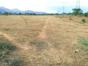 Hot Giri Farmland