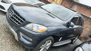 Mercedes-Benz M Class 2015 Gray