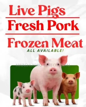 Pig Meat Pork