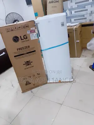 Lg 70 Upright Freezer Kitchen Ready Appliance