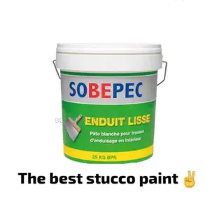 Stucco Paint