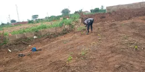 Geophysical Investigation For Borehole Drilling In Ibadan
