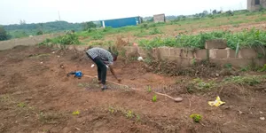 Geophysical Investigation For Borehole Drilling In Ibadan
