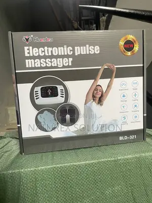 Electronic Pulse Massager