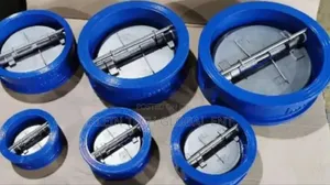 Check Valve