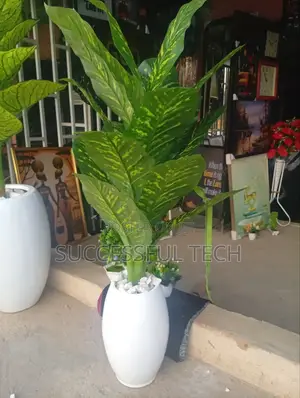 Flower Decor