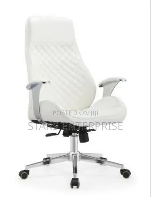 Office Chair / Adjustable Chair