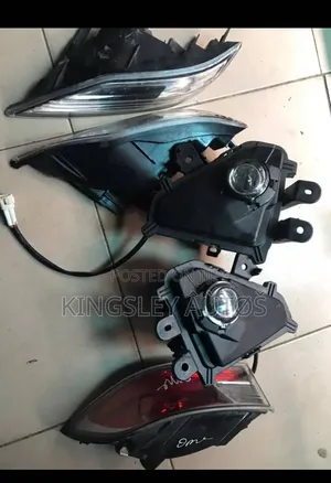 Foglamp and Pointer Gx 460 2018