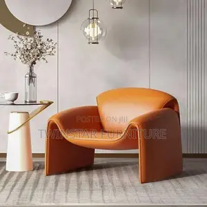 New Modern Luxury Single Accent Chairs