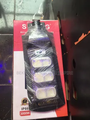 Solar Security Light