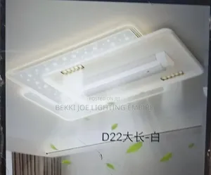 Modern Ceiling Fitting With Light and Fan