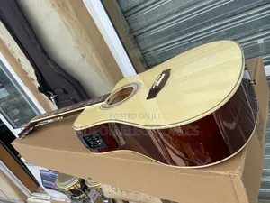 Fender Electro Acoustic Guitar