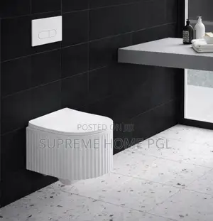Luxury Wall Hung Wc