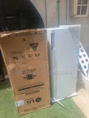 Lg 168 Liter Gn-304sqbr Standing Freezer