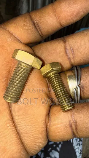 Hexagonal Brass Bolt and Nuts M10*30