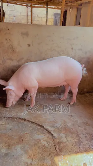 Pure Hybrid
