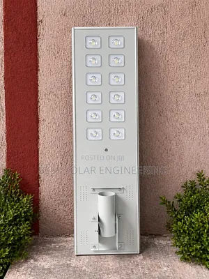 100w Solar Street Light 12 Eyes (Solarpro)
