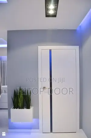 Modern White HDF Door With Stripe of Black Vertical