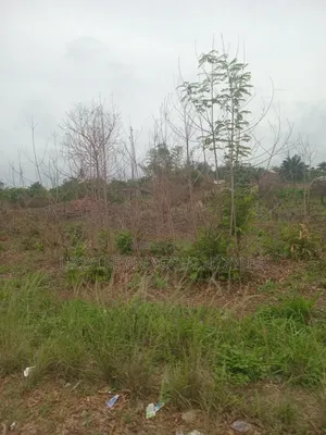 2000 Acres Of Farmland For Sale @280k Per Acre