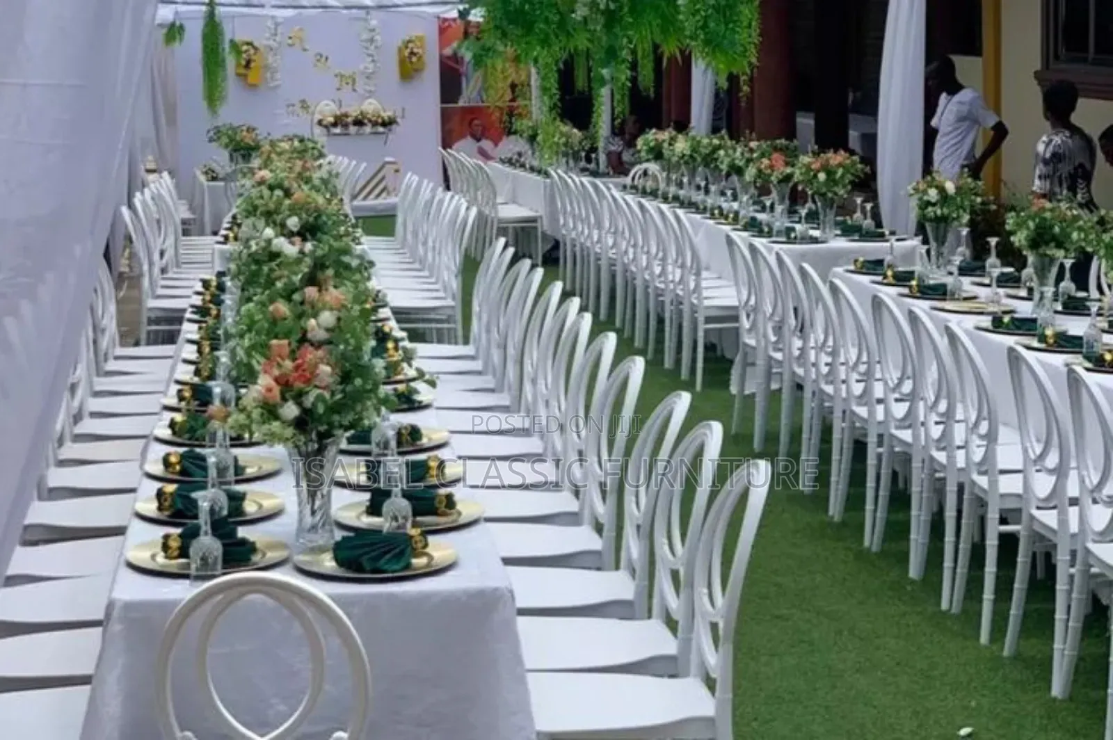 Imported O Back Event Chairs