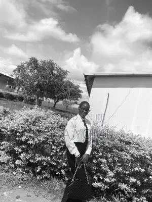 Office Assistant or Secretary