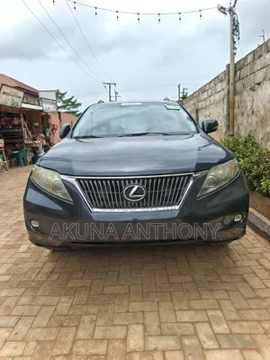 Lexus RX 2010 Gray
