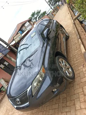 Lexus RX 2010 Gray