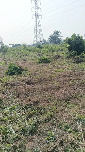 Land for Sale in Oyigbo Beside the Eleme Tarred Road