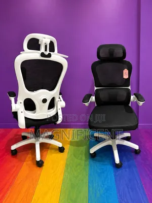 Premium Ergonomic Office Chair With Headrest Lumbar Support
Alternat
