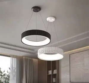 Modern Style Circular Ripple Pendant Chandelier