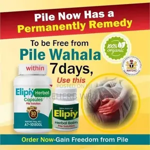 Elipiy Pile Solution