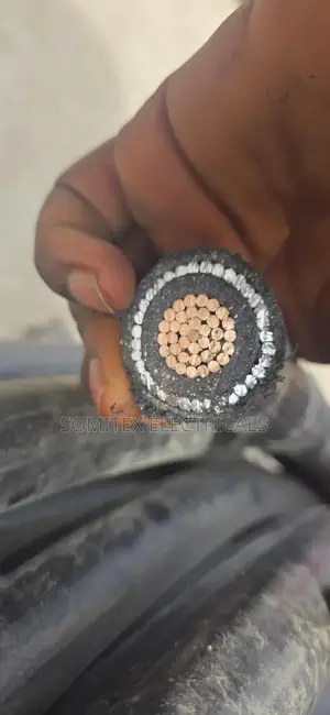 185mmx1core Amoured Coleman Cable