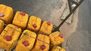 Original Fresh Palm Oil