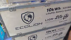 10kwh Ecolion Lithium Ion Battery