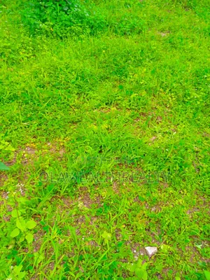 3094sqm Filling Station Land at Kwali