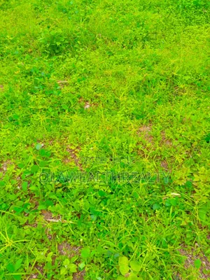 1450sqm Residential Land at Guzape Main