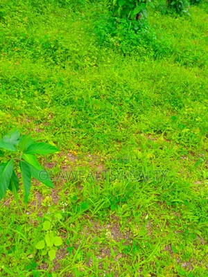 15.45 Hectares Housing Estate Land at Wasa