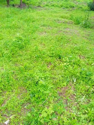 4282sqm Residential Plot at Wuye Main