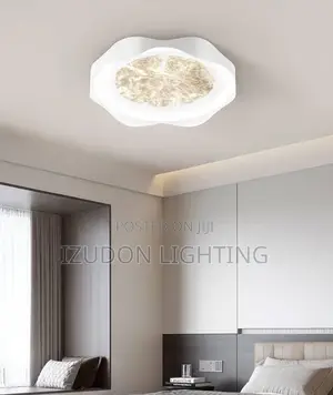 Luxury Ceiling Light