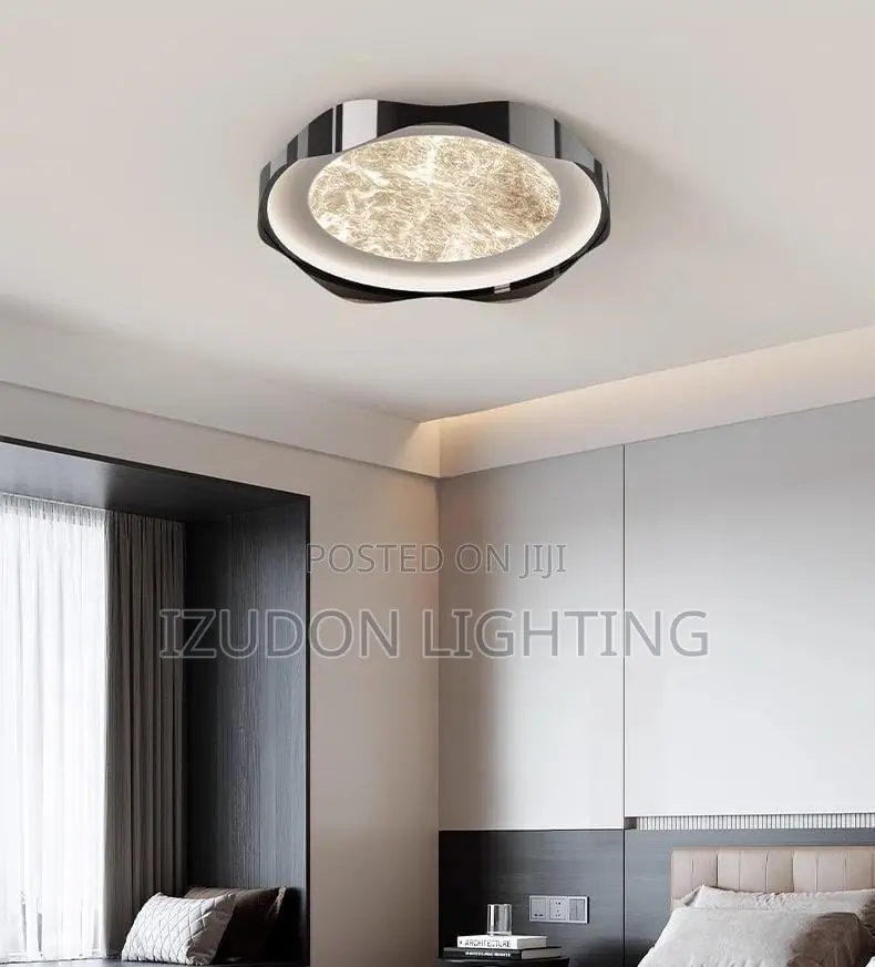Exotic Black Ceiling Light