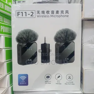 Double Wireless Microphone