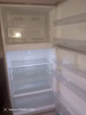 Standing Fridge