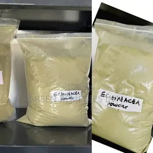 Echinacea Powder 100g to Any Kg Available Anywhere in Nigeria
