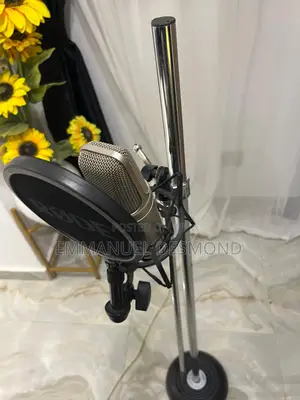 Rode Nt2 Condenser Microphone