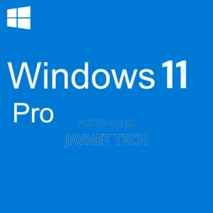 Windows 11 Pro (1 User)